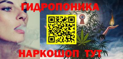прущие грибы Ставрополь