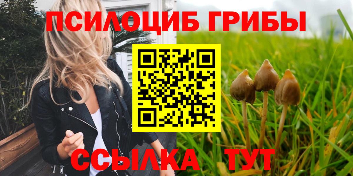 Галлюциногенные грибы мицелий Нижнеудинск