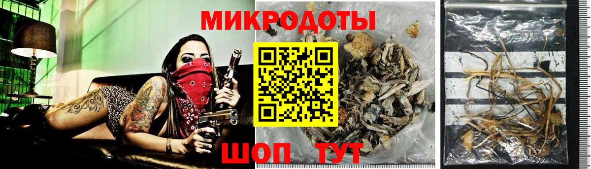 Нижнеудинск  Галлюциногенные грибы Cubensis  Вход с VPN  Галлюциногенные грибы мицелий 